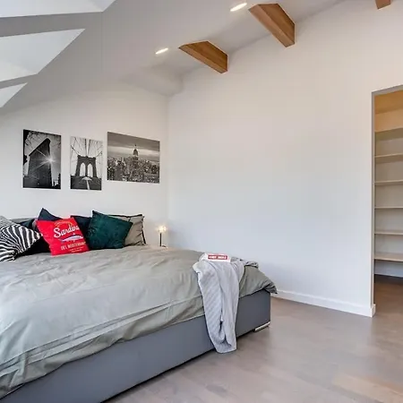 公寓 Domillion Pylimo Penthouse Duplex 15ppl P36d 维尔纽斯