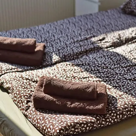 Domillion Pylimo Penthouse Duplex 15ppl P36d 公寓 维尔纽斯