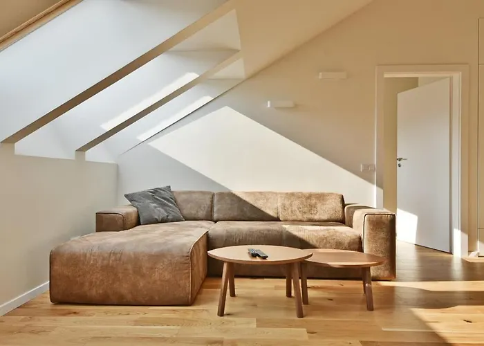 公寓 Domillion Pylimo Penthouse Duplex 15ppl P36d 维尔纽斯