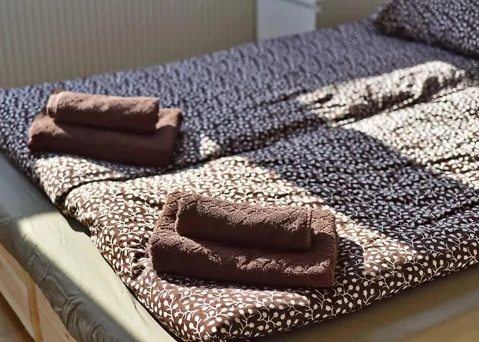 Domillion Pylimo Penthouse Duplex 15ppl P36d Butas Vilnius