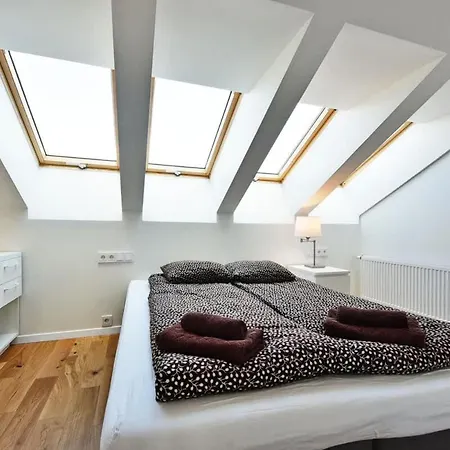 公寓 Domillion Pylimo Penthouse Duplex 15ppl P36d 维尔纽斯