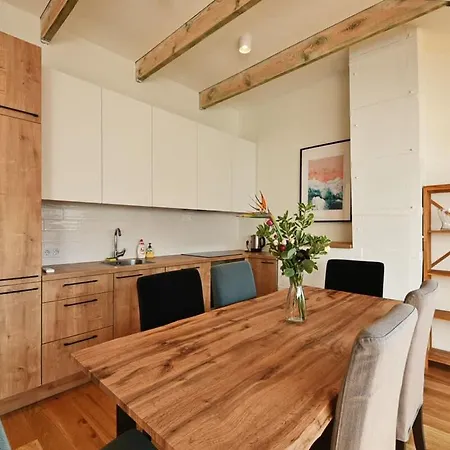 Domillion Pylimo Penthouse Duplex 15ppl P36d 公寓 维尔纽斯