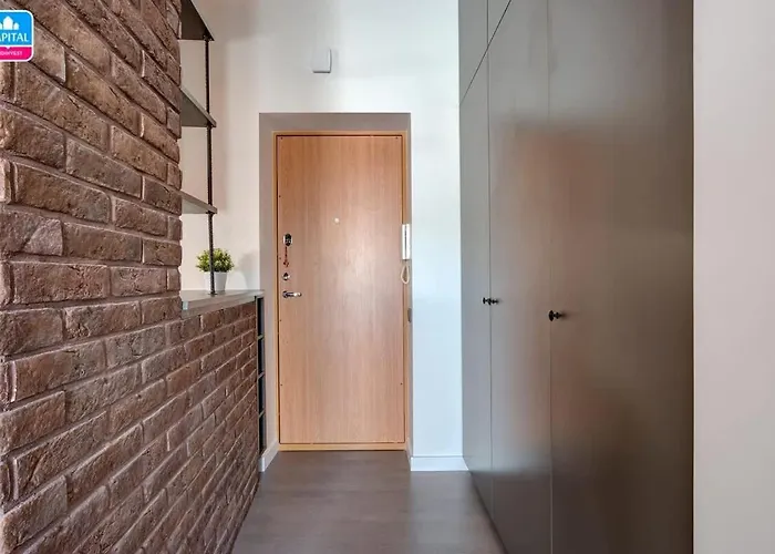 Domillion Pylimo Penthouse Duplex 15ppl P36d * ヴィリニュス